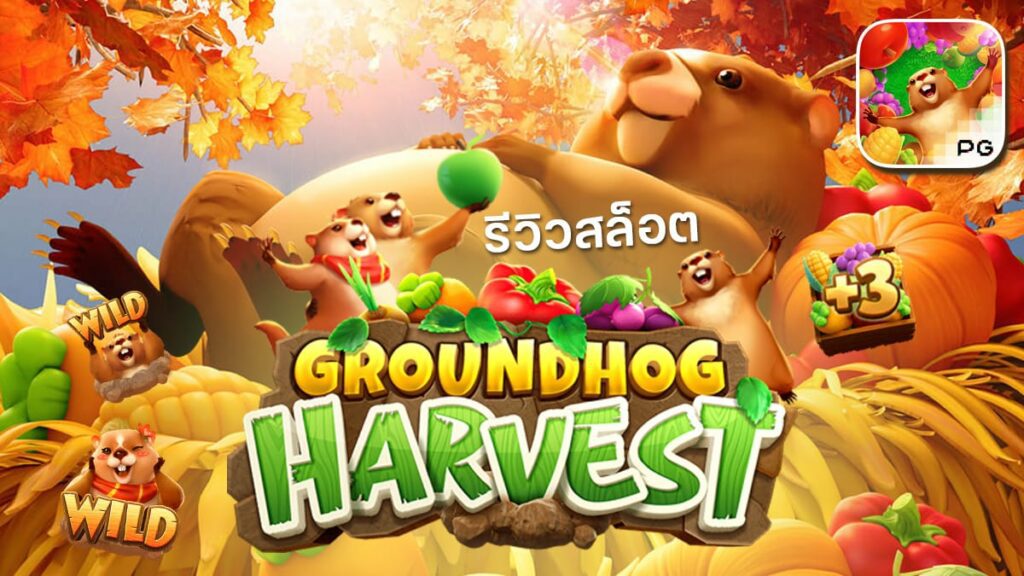 Groundhog Harvest PG SLOT